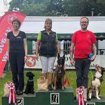 493074594-9712460438799470-8329365715481317263-n-1