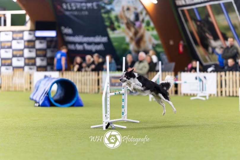 573866824-24986776030979689-5886475342922449707-n