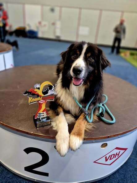 577650691-24803338519334752-4778098317882942572-n